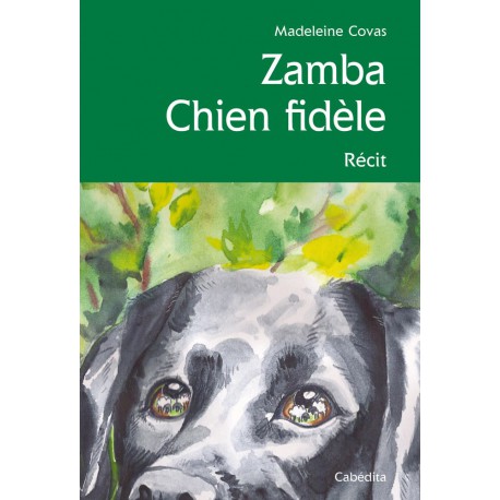 ZAMBA CHIEN FIDÈLE