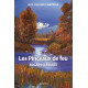 LES PINCEAUX DE FEU