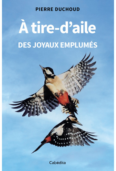 A TIRE-D'AILE