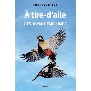 A TIRE-D'AILE