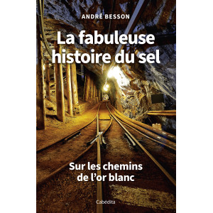 LA FABULEUSE HISTOIRE DU SEL