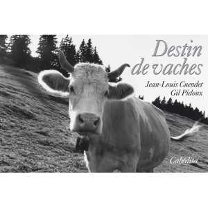 DESTIN DE VACHES