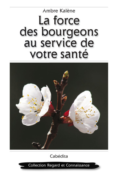 LA FORCE DES BOURGEONS AU SERVICE DE VOTRE SANTÉ