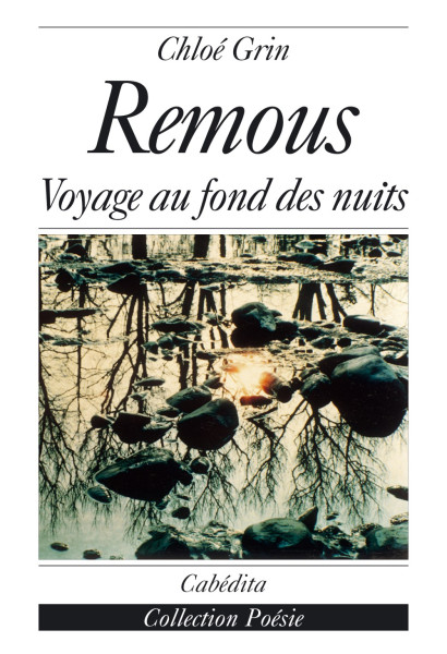 REMOUS - VOYAGE AU FOND DES NUITS