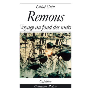 REMOUS - VOYAGE AU FOND DES NUITS