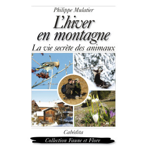 L’HIVER EN MONTAGNE