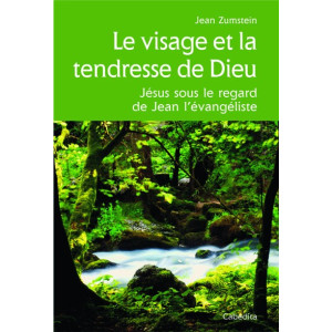 LE VISAGE ET LA TENDRESSE DE DIEU